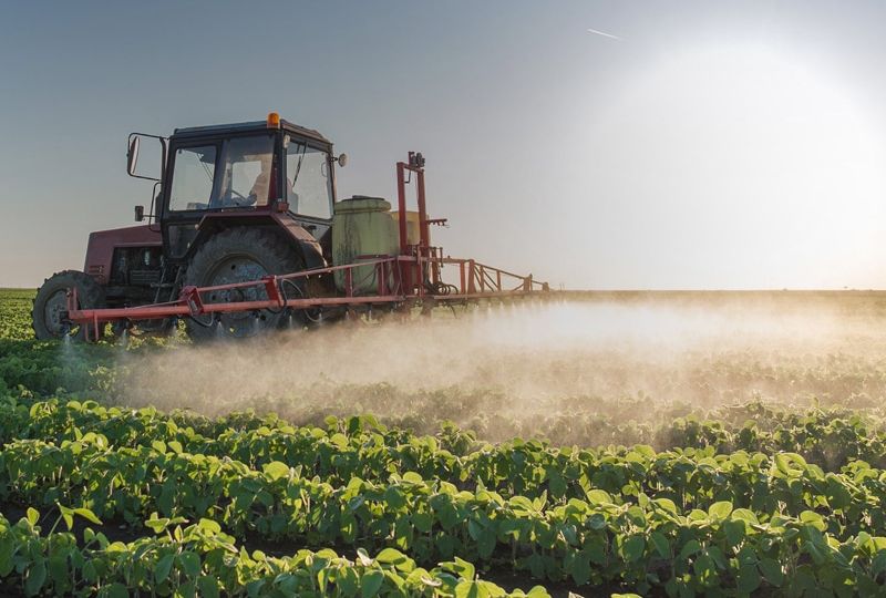 DICAMBA_800X600