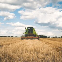 green-tractor-175389