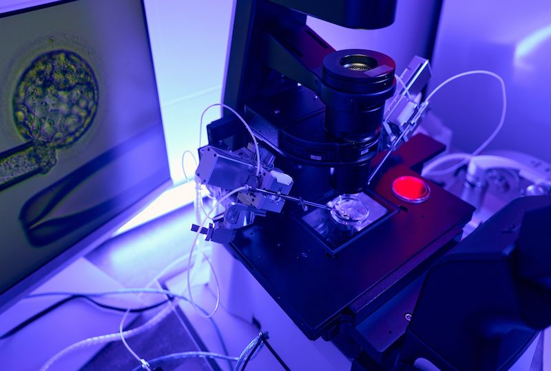 Laboratory worker using micropipette to make icsi procedure